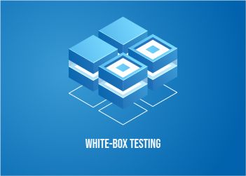white box testing