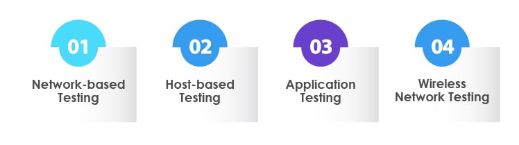  Vulnerability Testing for websites