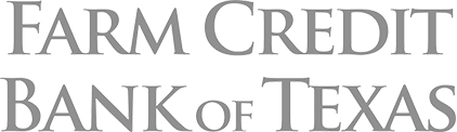 software testing and QA testingxperts