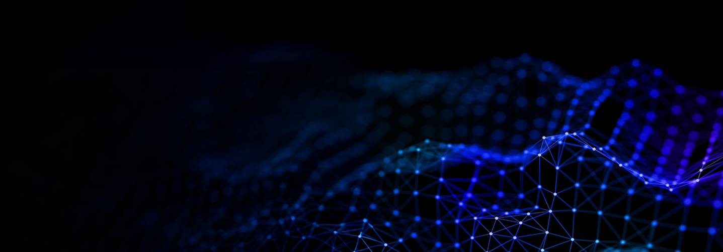 Data quality testing and management process