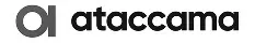 Ataccama